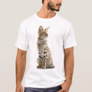 Search for serval cat tshirts Kitten
