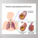 Search for lung posters Doctor