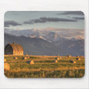 Search for framing mousepads Farming