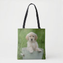 Search for a basin bags Pet