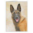Search for belgian malinois dog postcards Pet