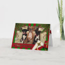 Search for boxer christmas cards Pets