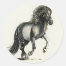 Search for rearing horse stickers Pinto