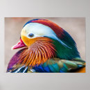 Search for game fowl posters Bird