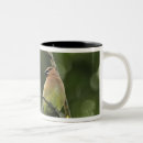 Search for cedar waxwing mugs Bombycilla cedrorum