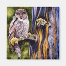Search for hoo magnets Bird
