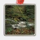 Search for south america christmas tree decorations Usa