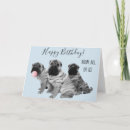 Search for peis cards Shar pei