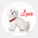 Search for white dog stickers Puppies