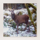 Search for red deer puzzles Snow