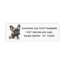 Search for bulldogs return address labels Watercolor