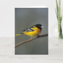 Search for orioles cards Animal