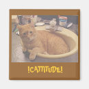 Search for cattitude Animals