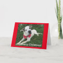 Search for breeds dogs christmas cards Puppy