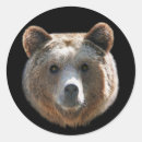 Search for grizzlies stickers Nature