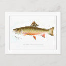 Search for brook postcards Trout