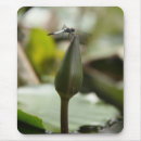 Search for damselfly mousepads Dragonflies and damselflies