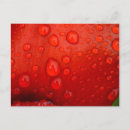 Search for matt postcards Floral