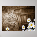 Search for basket art Floral