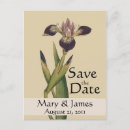 Search for iris garden invitations Vintage
