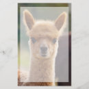 Search for alpaca personal stationery Llamas