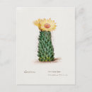 Search for beehive postcards Vintage