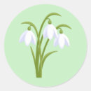 Search for snowdrops stickers Floral