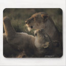 Search for nature reserve mousepads Togetherness