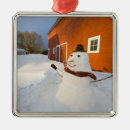 Search for falls christmas tree decorations Farm