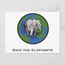 Search for endangered postcards Save
