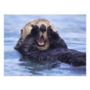 Search for sea otter posters Aquatic