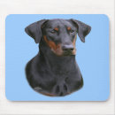 Search for agility electronics Pets
