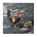 Search for chick tiles Hen