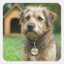 Search for adoption day stickers Dog