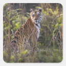 Search for tall grass stickers Animal