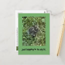 Search for hops postcards Rabbit