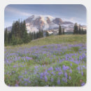 Search for mt washington stickers National park