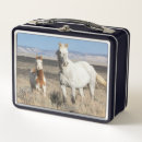 Search for horse lunch boxes Foal