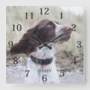 Search for pet photo clocks Adorable