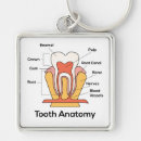 Search for anatomy key rings Health