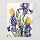 Search for purple iris postcards Nature