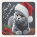 Search for british shorthair cat stickers Kitten