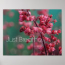 Search for just breathe posters Peace