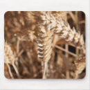 Search for corn field electronics Crop