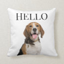 Search for beagle dog cushions Canine