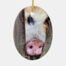 Search for pigs christmas tree decorations Humour