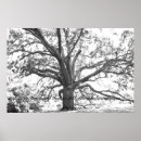 Search for google posters Photography