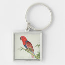 Search for ornithology key rings Ornithological