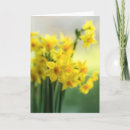 Search for hosting cards Flowers