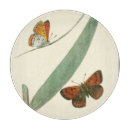 Search for butterfly chopping boards Flower